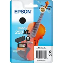 epson-singlepack-black-250xl-ink.jpg