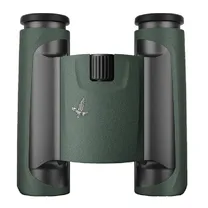 swar-1.jpg