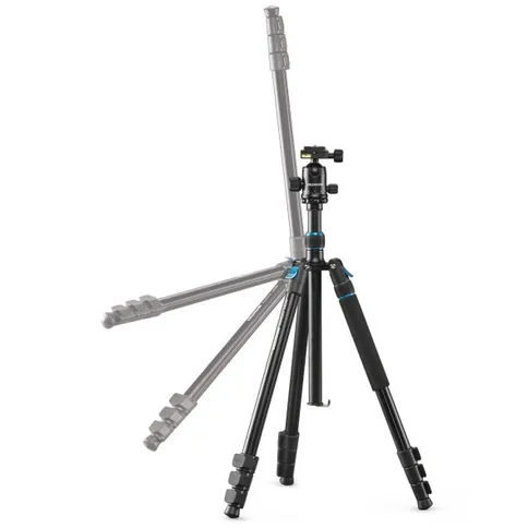 Cullmann-Rondo-480M_2.jpg
