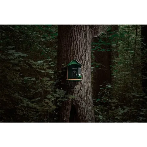 Camouflage-EZ-BirdFeed-Wildlife-camera_8.jpg