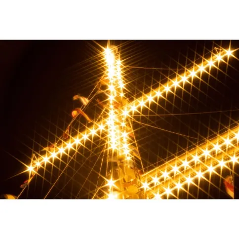 Hoya_Sparkle_6x_4.jpg