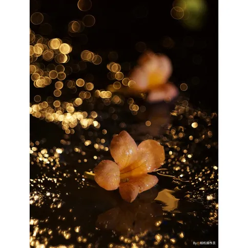 TTArtisan_100mm_2.8_7.jpg