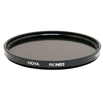 Hoya-1.JPG