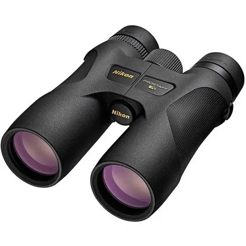 Nikon-1.jpg