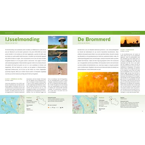 ijsselmonding-brommerd (Medium).jpg