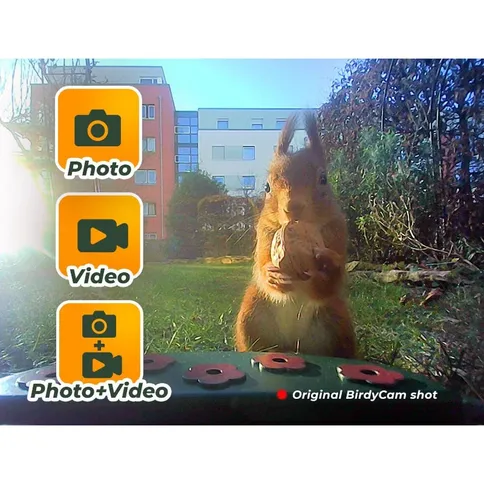 Easypix-BirdyCam_3.jpg
