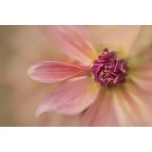Lensbaby_macro_filter_kit_46mm_4.jpg