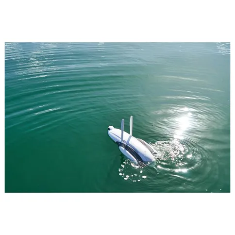 PowerVision _PowerDolphin_Standard6.JPG