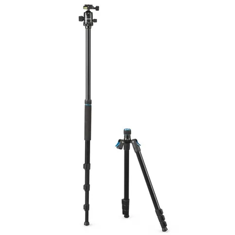 Cullmann-Rondo-480M_3.jpg