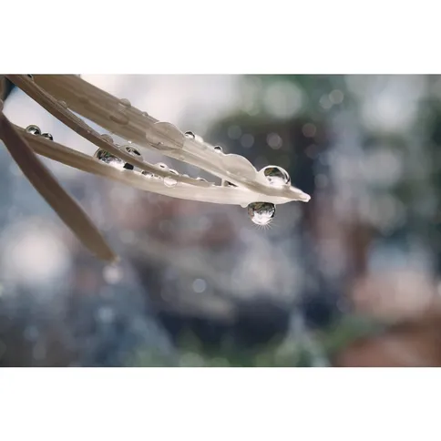 lensbaby-velvet-56-voorbeeld_4.jpg