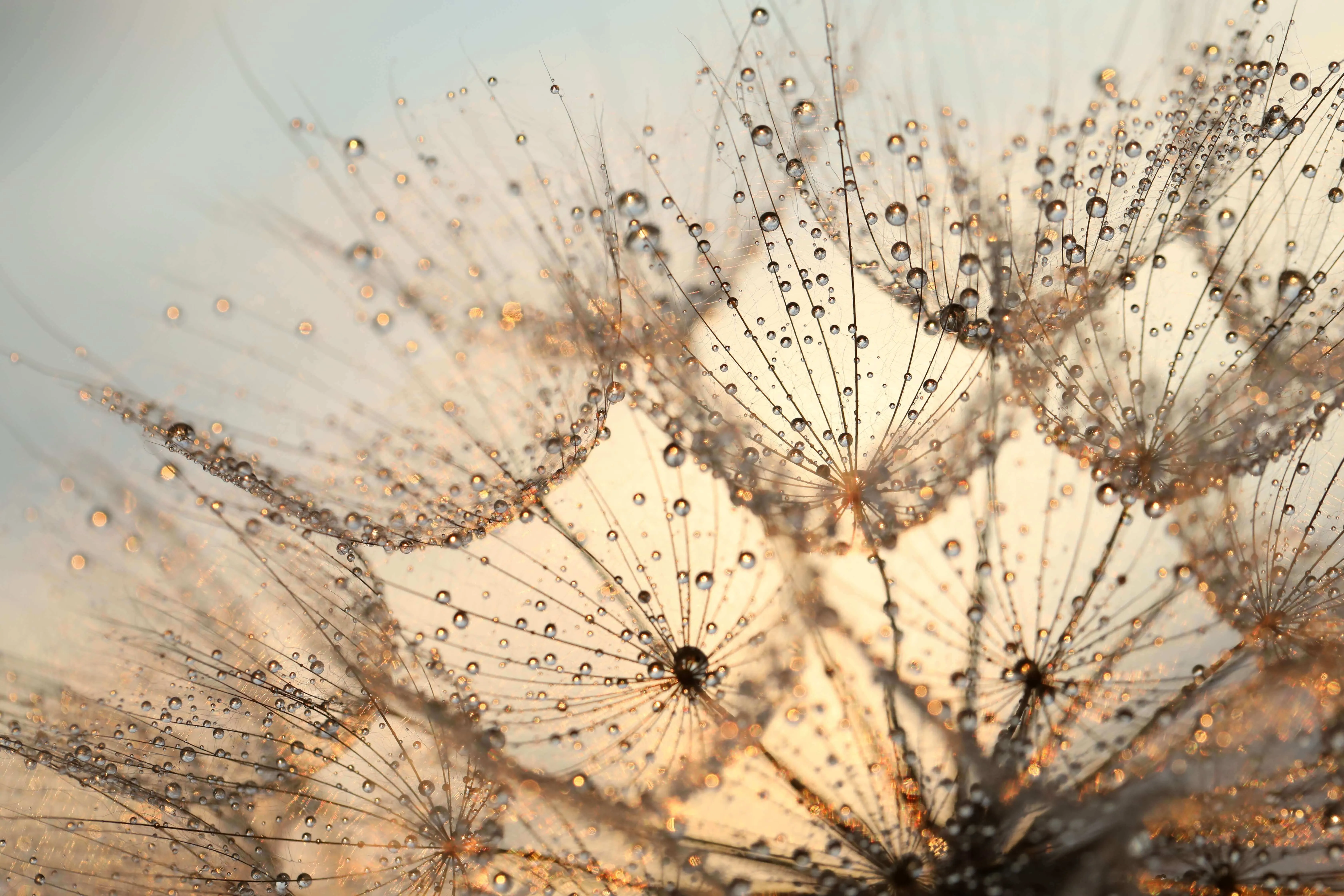 AdobeStock_513714587.jpg