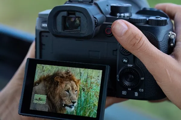 Sony_rx10v_inspo_pics_3.webp