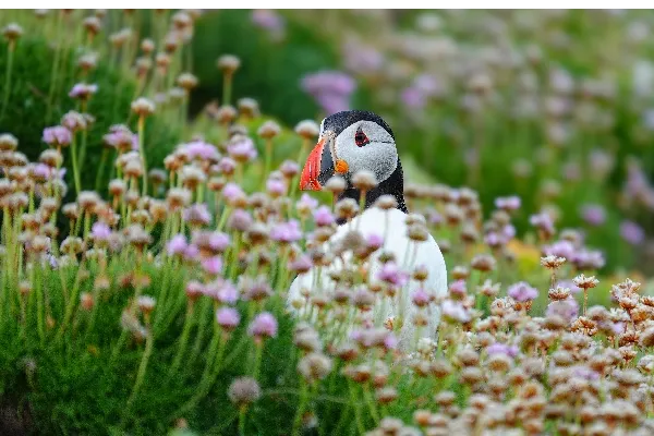 Sony_rx10v_inspo_pics_6.webp