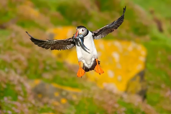Sony_rx10v_inspo_pics_1.webp