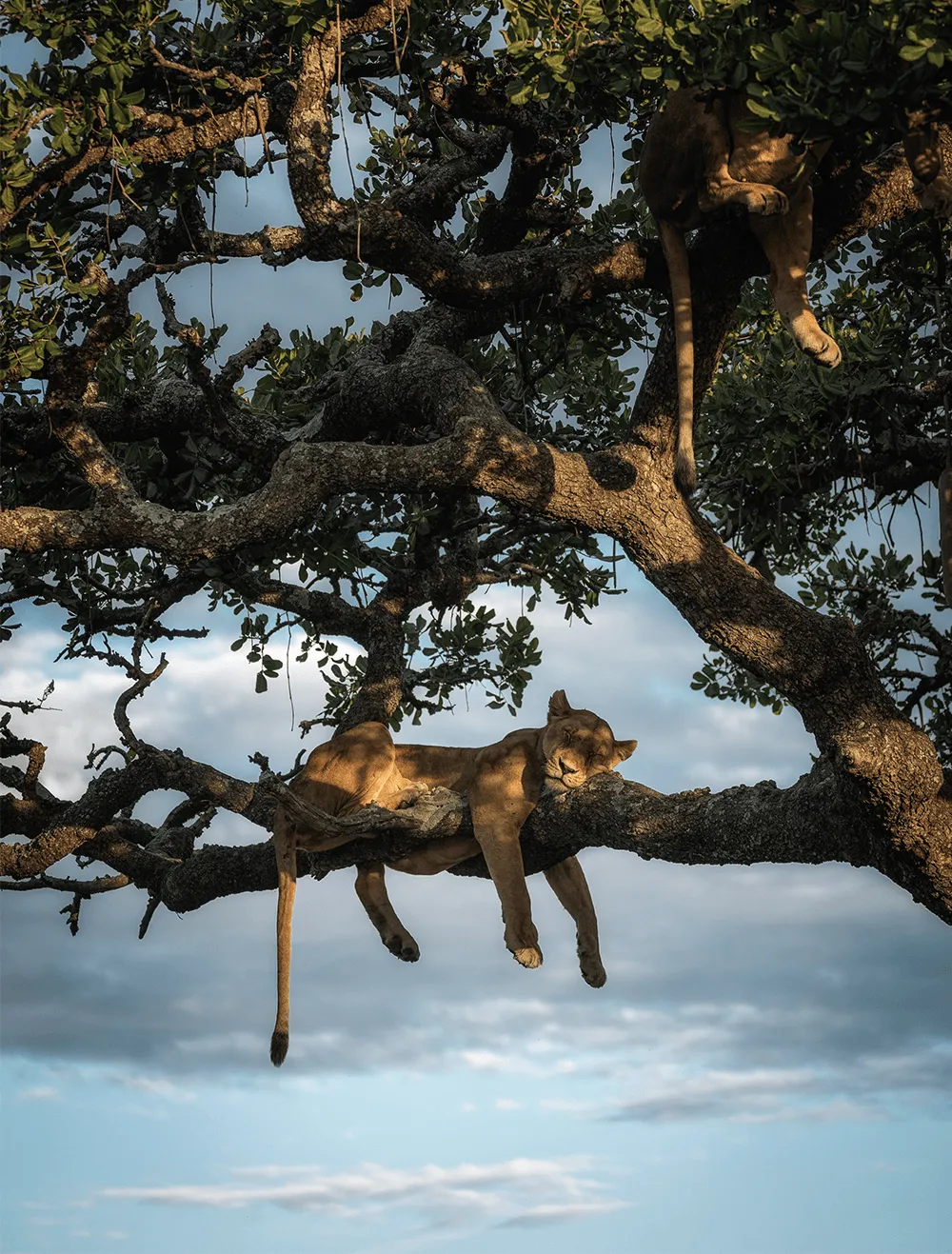 Sony-Chris-Schmid-Afrika-foto3.png