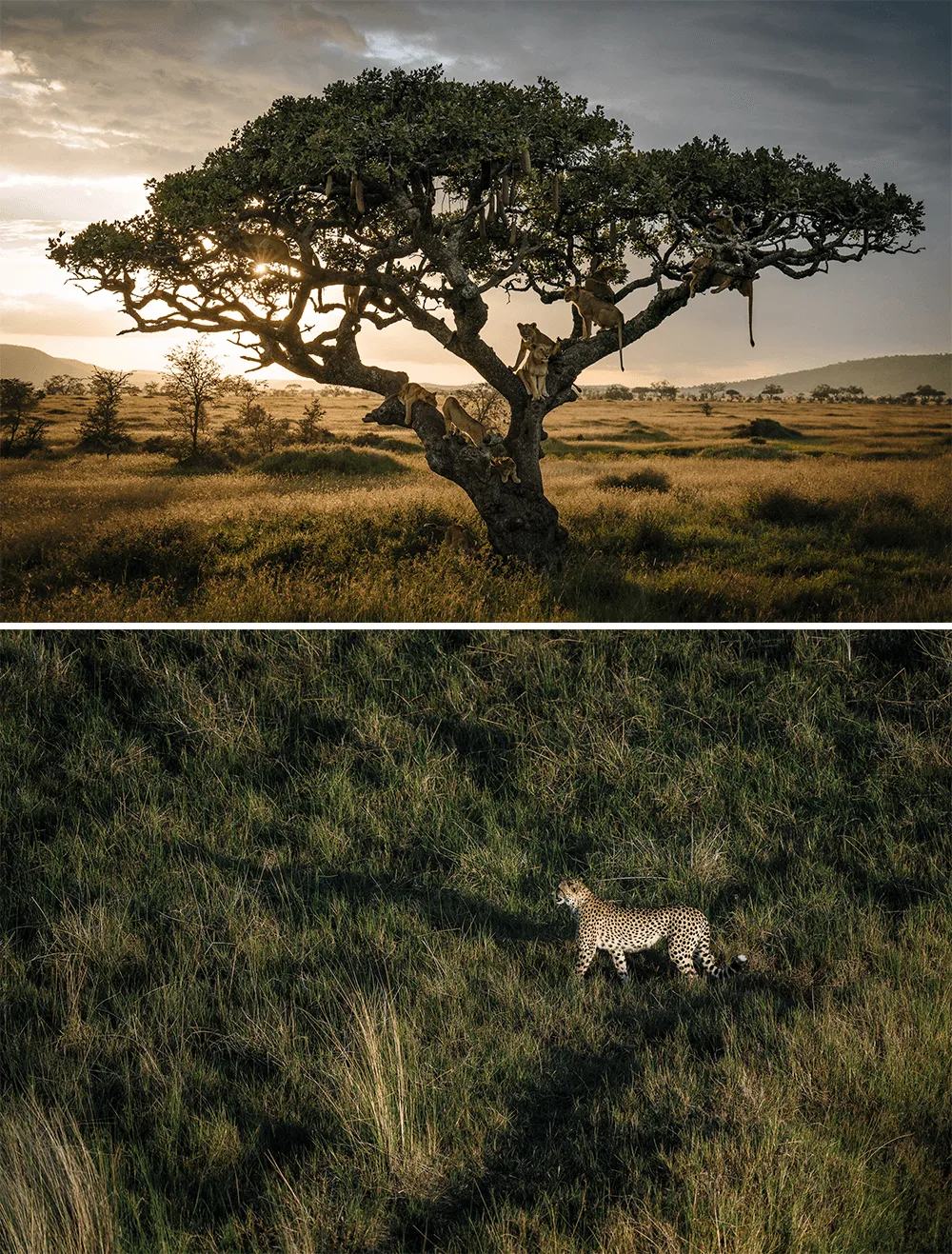 Sony-Chris-Schmid-Afrika-foto2.png