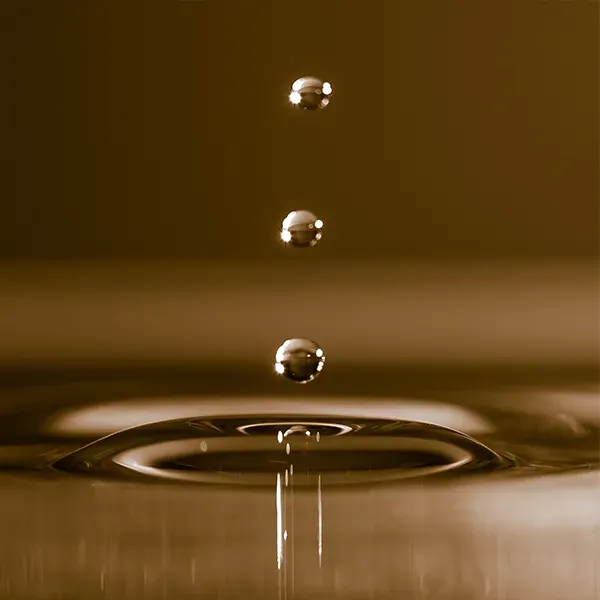ontmoet-onze-experts-alex-2.webp