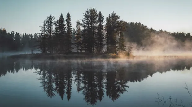 reflectie-water.jpg