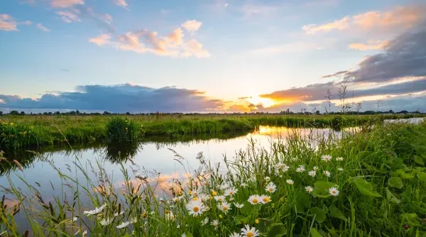 Natuurfotografie-Tip-8.webp