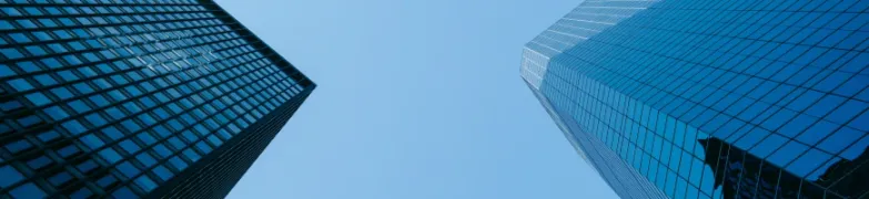 froschperspektive_header.webp