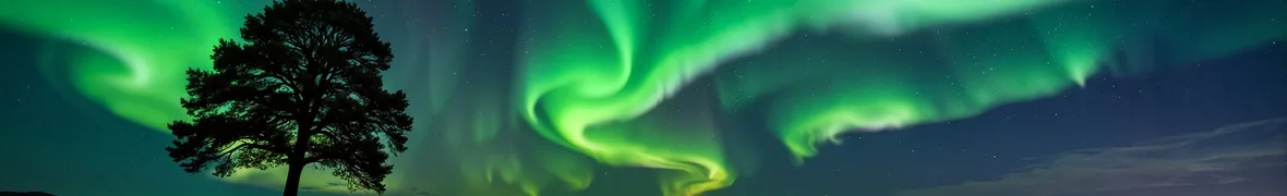 AdobeStock_1379178067.jpeg