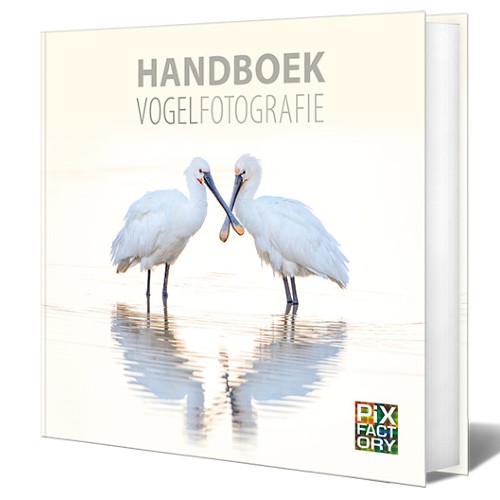 Bücher über Vogelfotografie