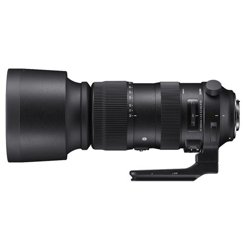 Sigma 60-600 mm F/4.5-6.3 DG OS HSM Sports Canon oder Nikon
